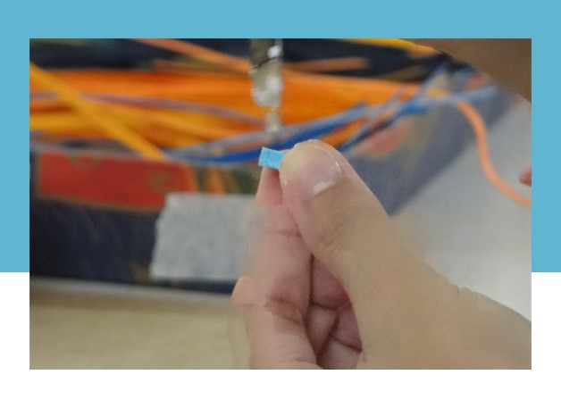 O Dia do Consumidor pede uma mudança de hábito necessária e reflexão.