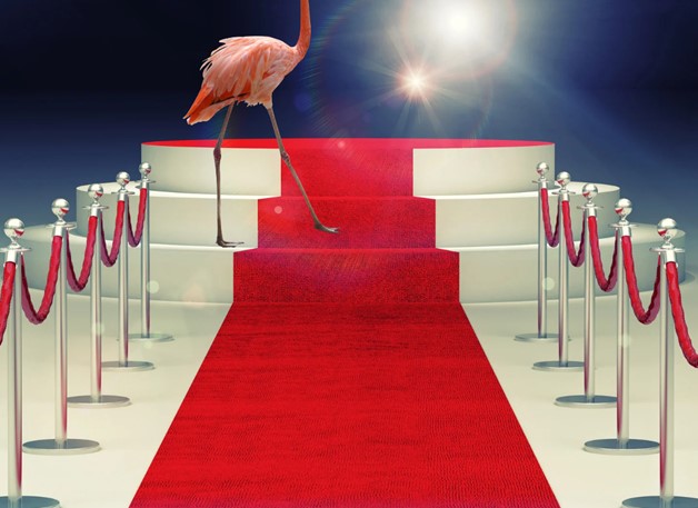 O Oscar da elegância