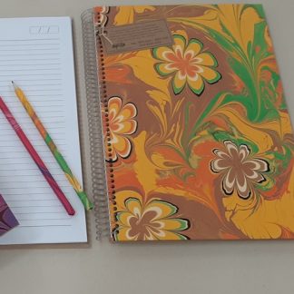 Caderno universitário com ou sem pauta